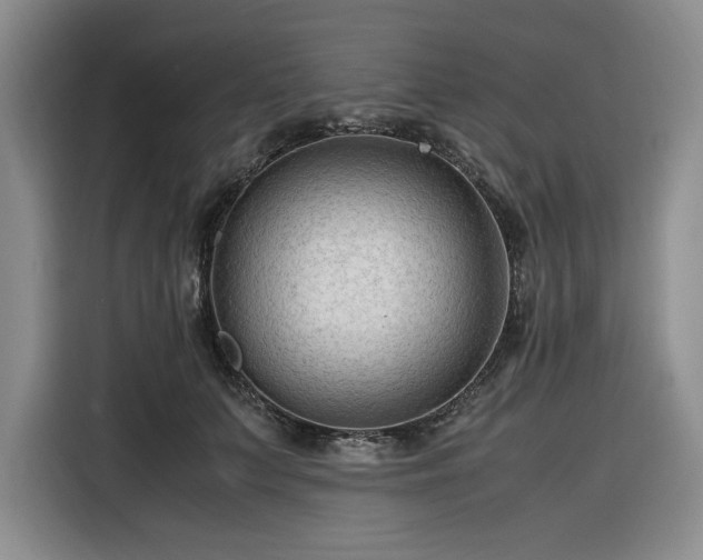 X0000116310703200912071309