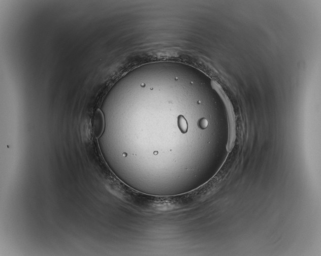 X0000116310704200912071309