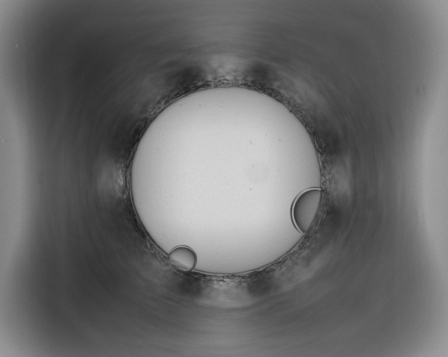 X0000116310709200912071308