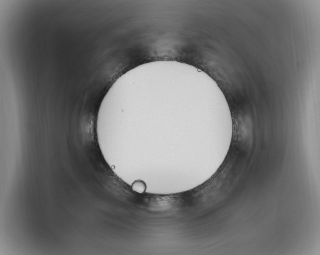 X0000116310717200912071308