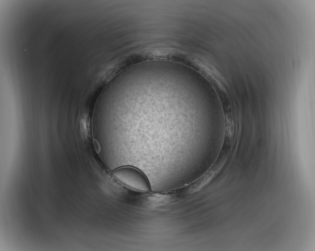 X0000116310718200912071308