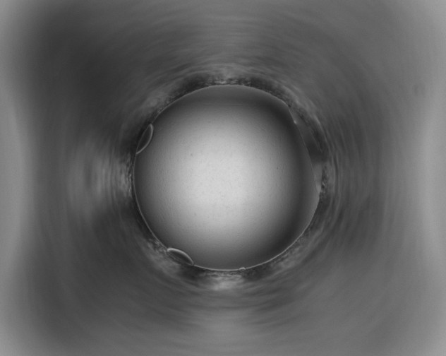 X0000116310719200912071308