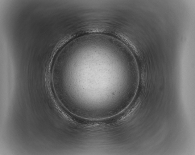 X0000116310721200912071308