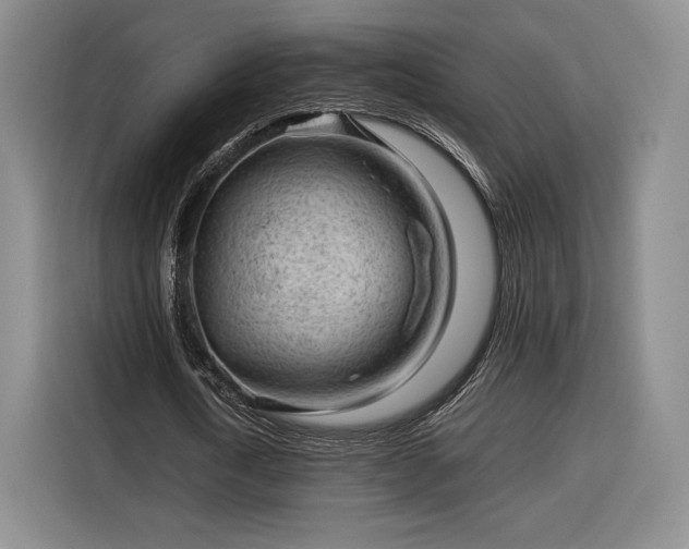 X0000116310722200912071308