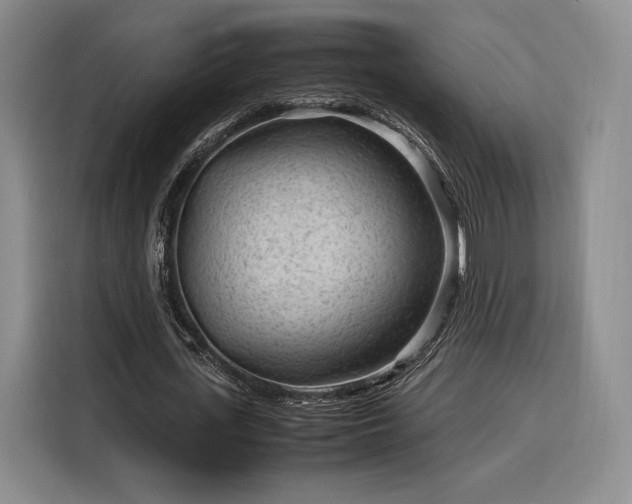 X0000116310723200912071308