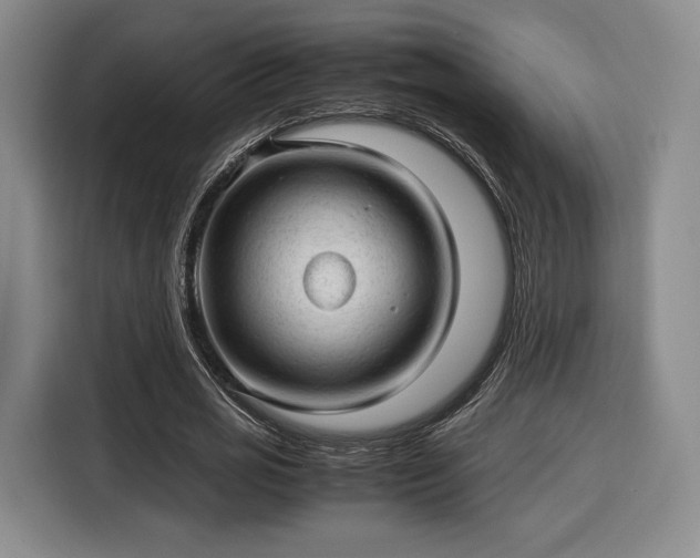 X0000116310725200912071308