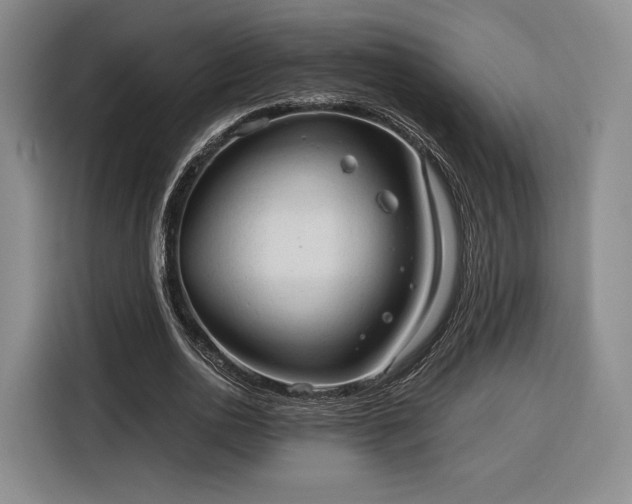 X0000116310726200912071308