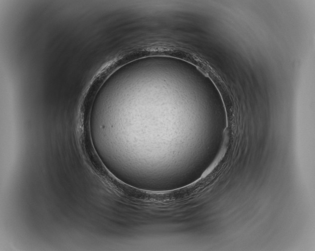 X0000116310727200912071308