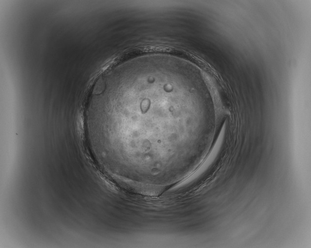 X0000116310729200912071308