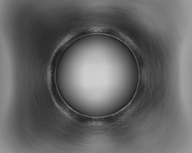 X0000116310730200912071308