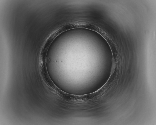 X0000116310731200912071308