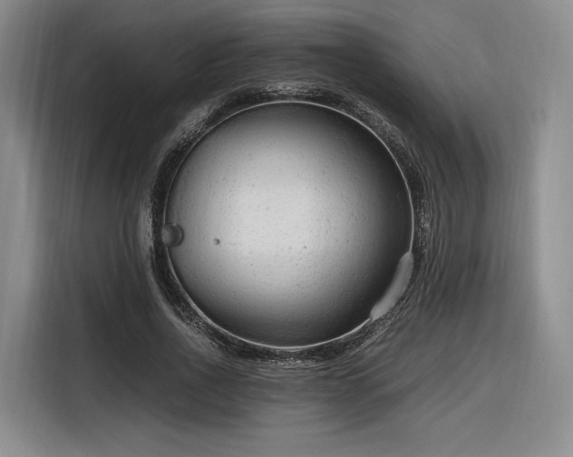 X0000116310734200912071308