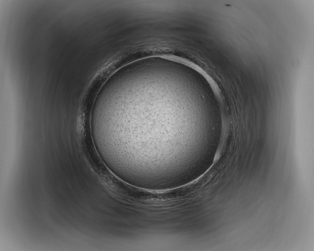 X0000116310735200912071308