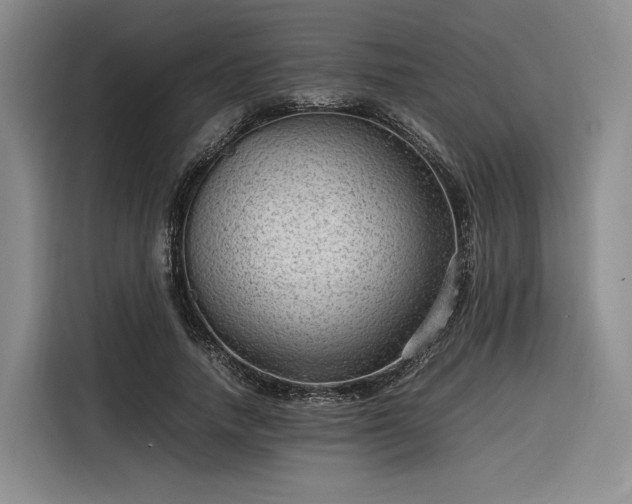 X0000116310738200912071308