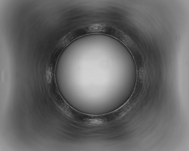 X0000116310741200912071308