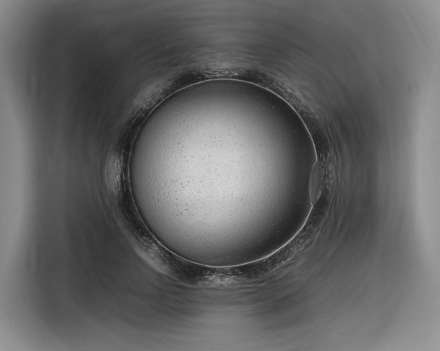 X0000116310742200912071308