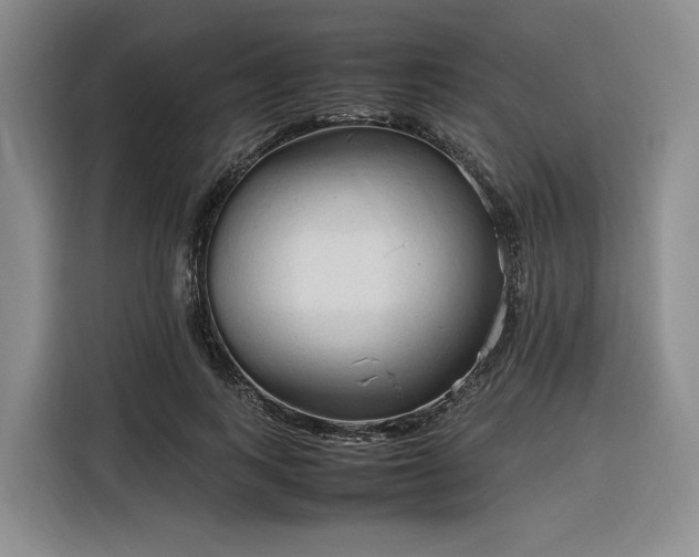 X0000116310743200912071308