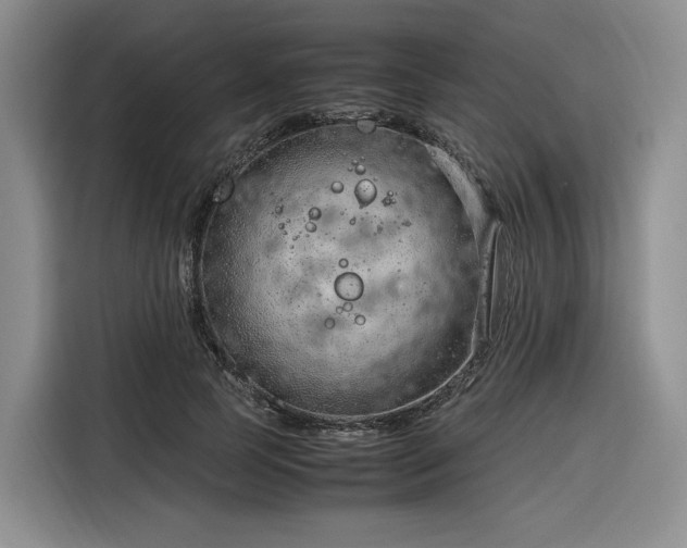 X0000116310745200912071308