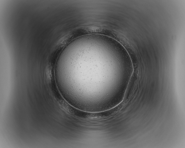 X0000116310746200912071308