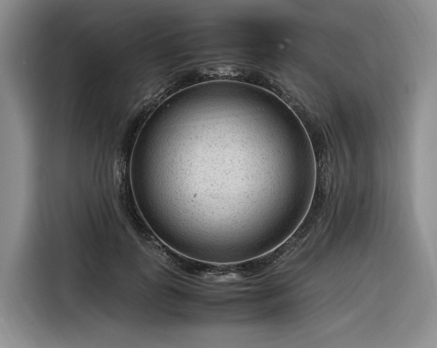 X0000116310747200912071308