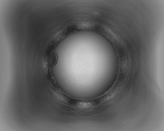 X0000116310749200912071308