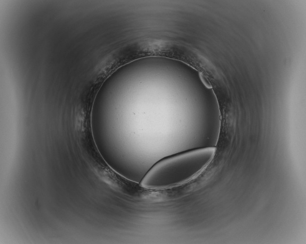 X0000116310750200912071308