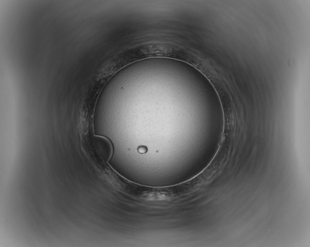 X0000116310751200912071308