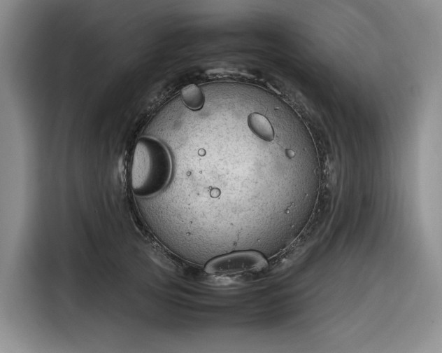 X0000116310753200912071308