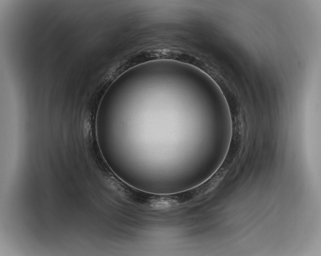 X0000116310754200912071308