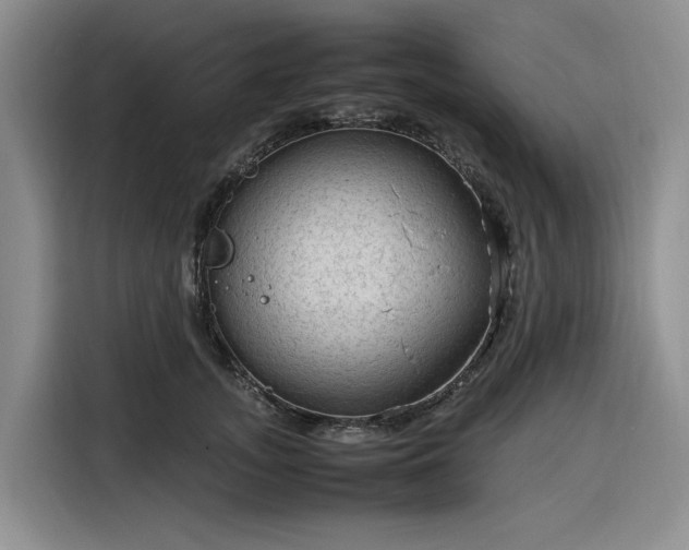 X0000116310755200912071308