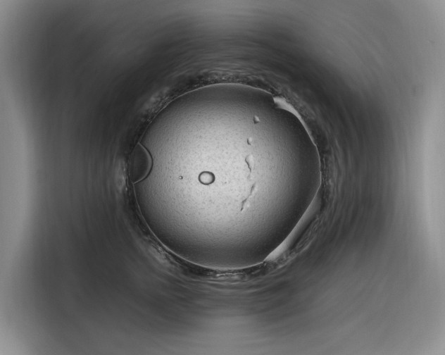 X0000116310758200912071308