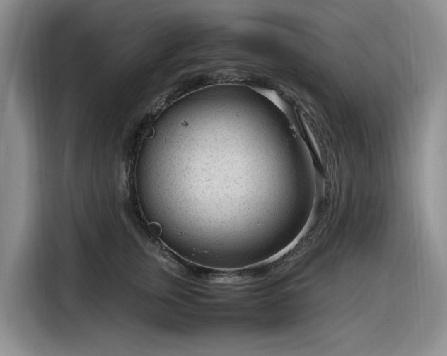 X0000116310759200912071308