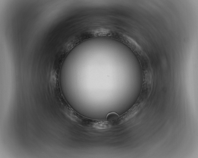 X0000116310761200912071308