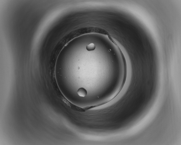 X0000116310766200912071308