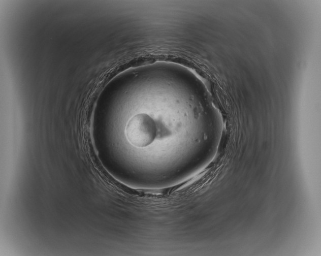 X0000116310769200912071308