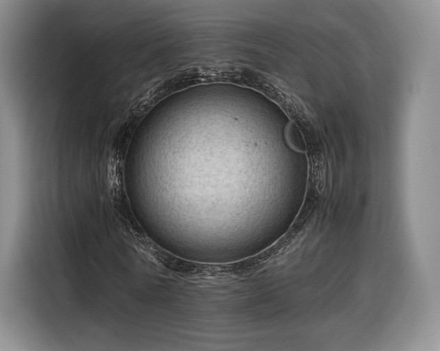 X0000116310770200912071308