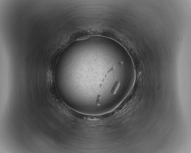 X0000116310772200912071308