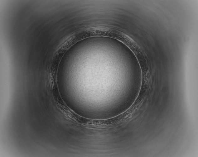 X0000116310774200912071308