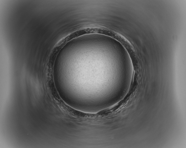 X0000116310775200912071308