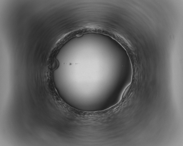 X0000116310776200912071308