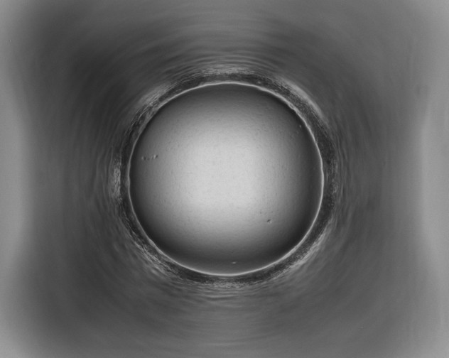 X0000116310777200912071308