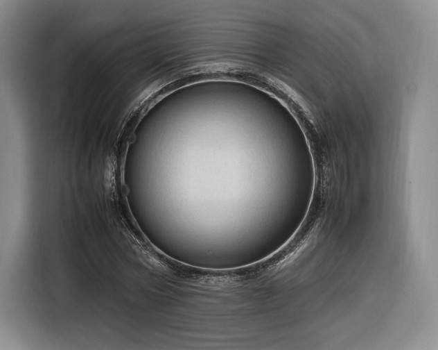 X0000116310778200912071308