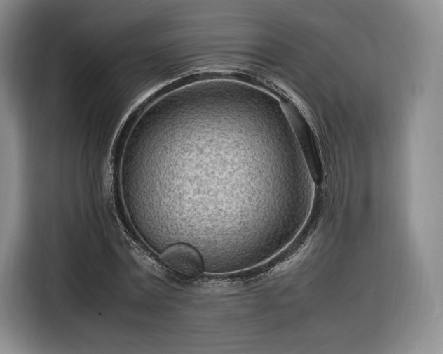 X0000116310779200912071308