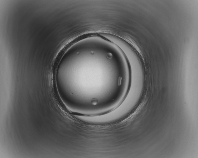 X0000116310781200912071308