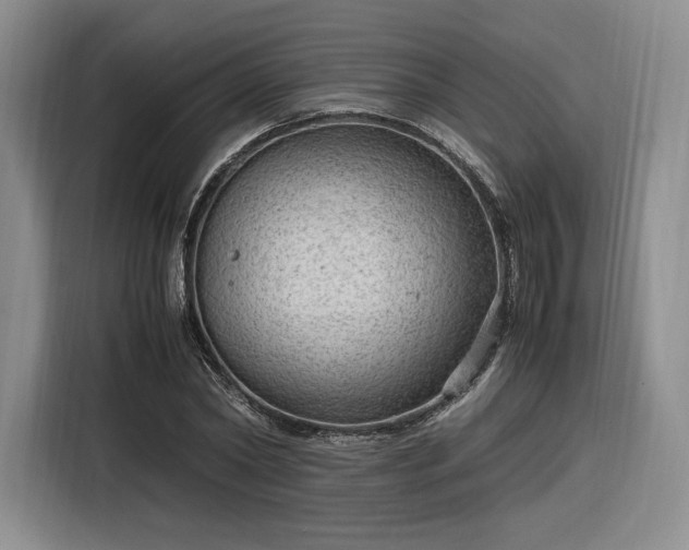 X0000116310782200912071307