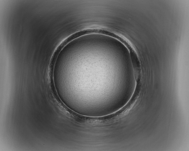 X0000116310783200912071307