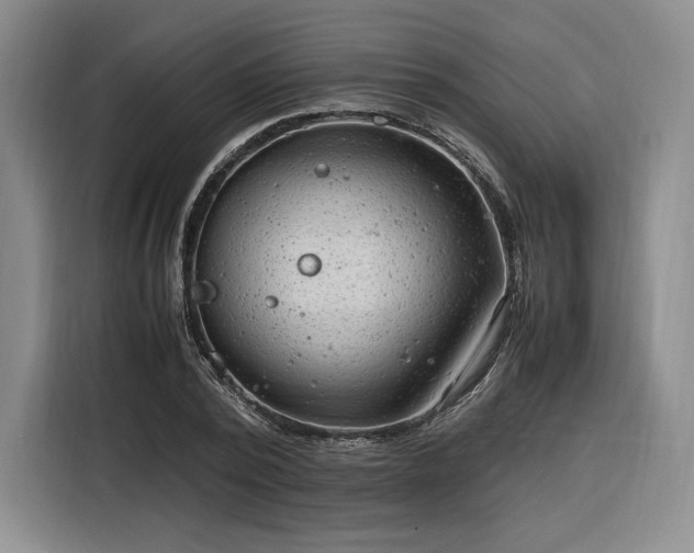 X0000116310784200912071307