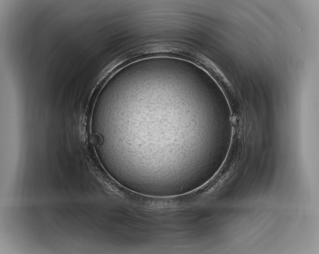 X0000116310786200912071307