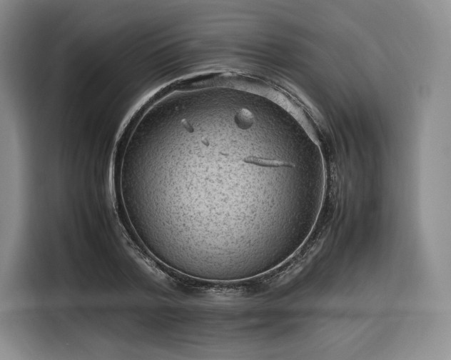 X0000116310788200912071307