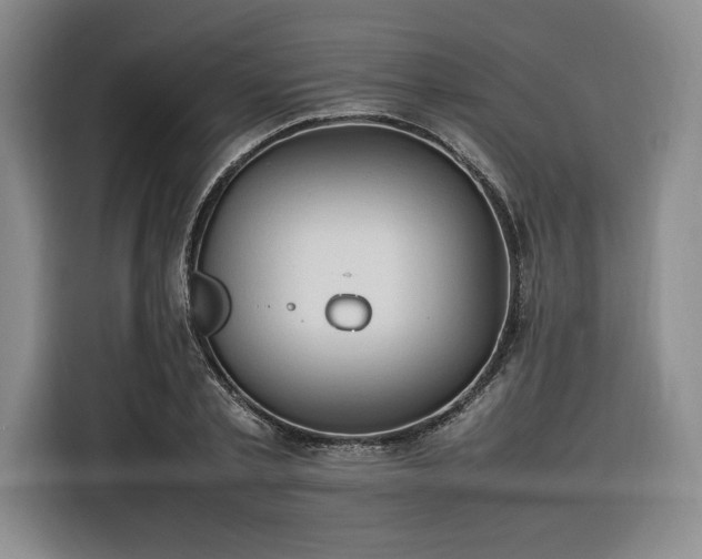 X0000116310789200912071307